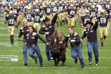 University of Colorado mascot Ralphie